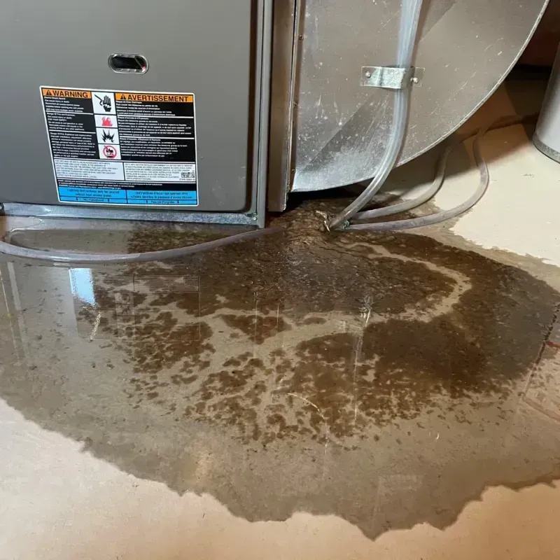 Appliance Leak Cleanup in Franklin County, AL